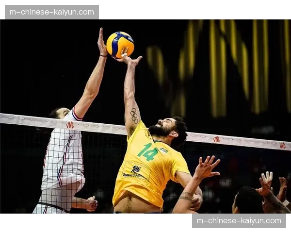 法国波兰男排3-0横扫法国法国，莱昂昂与库雷克合砍35分